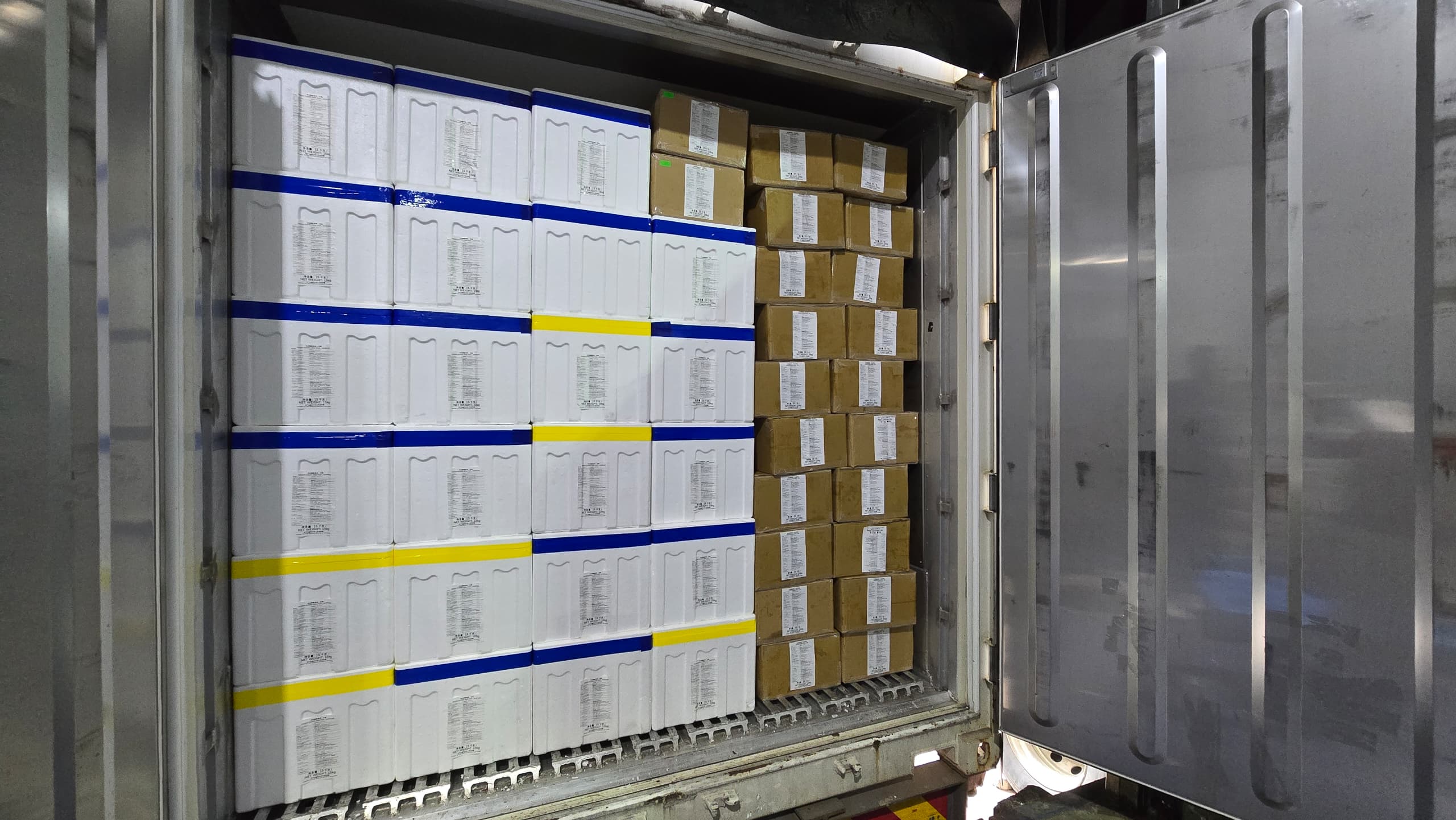 WhatsApp Image 2025-03-05 at 09.55.58